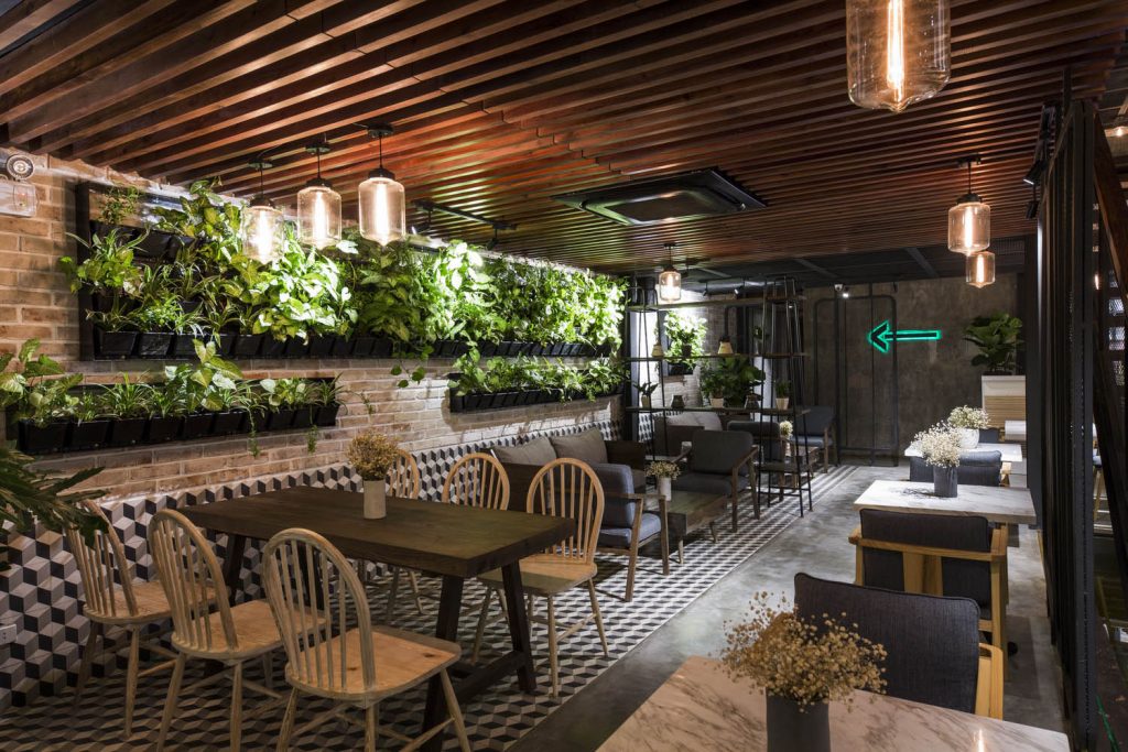 An-garden-Café-me-sto-uživanja-i-zelene energije
