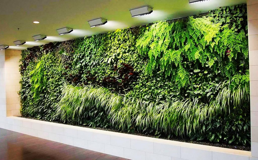 Šta su zapravo zeleni zidovi 